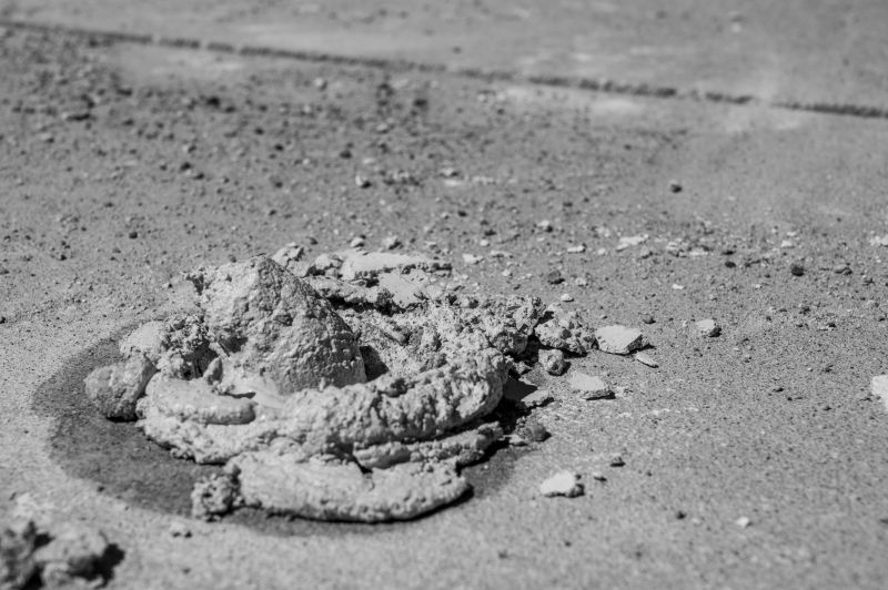 Increase Your Lawn Clean Up Service Business with an AI Driven, Targeted Website