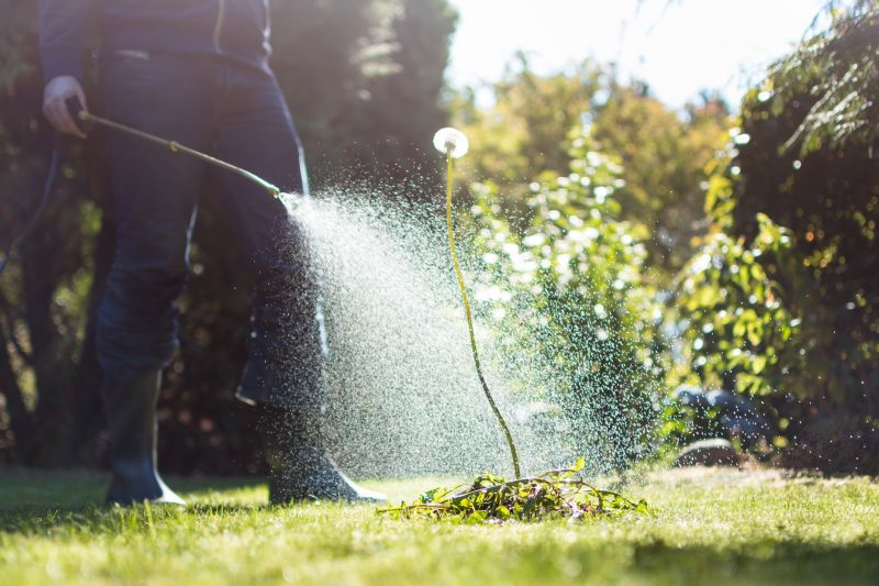 Products For Lawn Clean Up Service in use