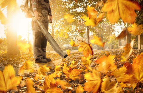 Cost of Leaf Blowing Service in Camas
