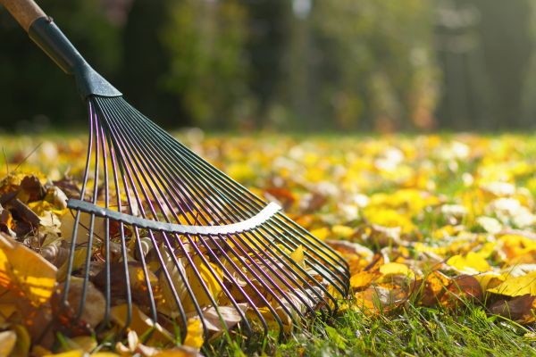 Cost of Leaf Raking Service in Camas