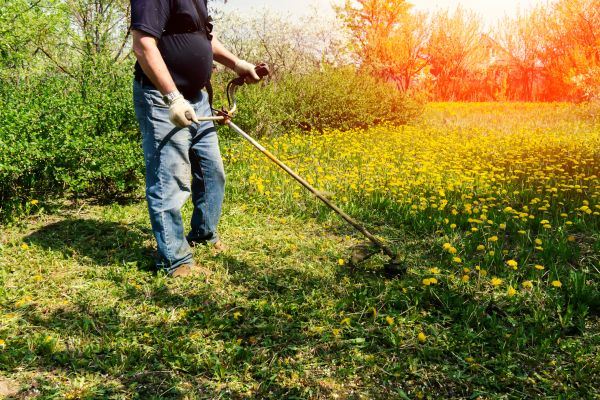 Cost of Yard Clearing Service in Camas